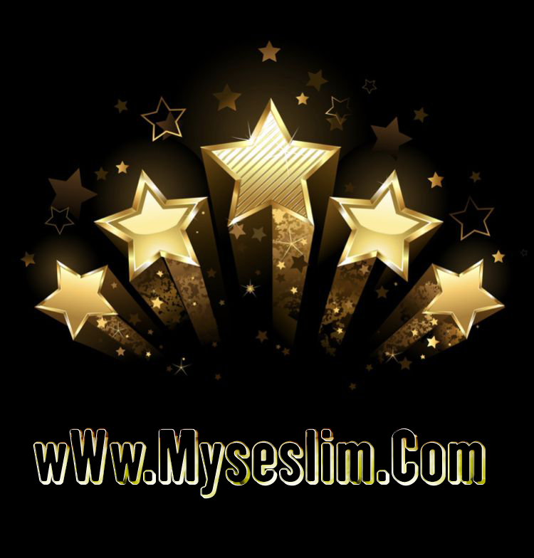 🎙️ MySeslim.com: Enerjik Sesli Chat Sitesiyle Eğlenceye Bağlan!